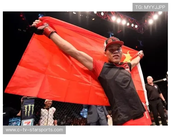 UFC防守反击精确打击：掌握格斗场上的制胜利器