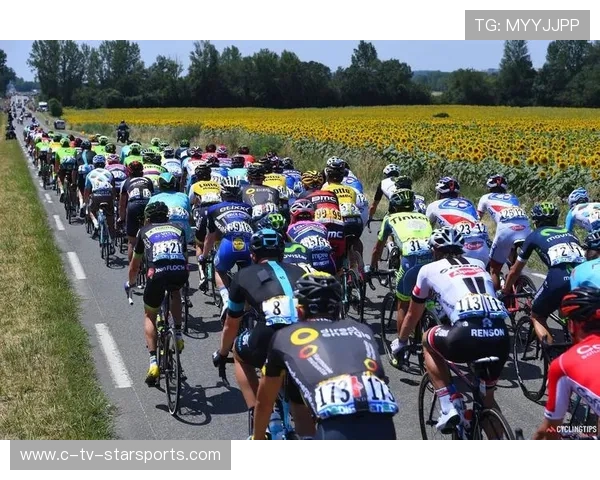 欧洲环法：丹麦新星崛起，骑行界迎来新风尚！，欧洲丹麦风景图片