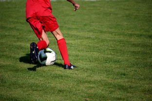 星空娱乐官网入口-CBA球队加强后勤保障体系优化训练和比赛准备，cba后备联赛